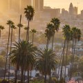 Exploring Los Angeles: The Best Places to Visit